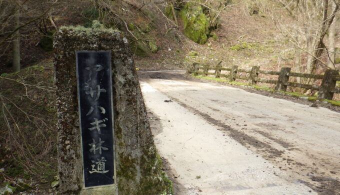 時山多賀林道
