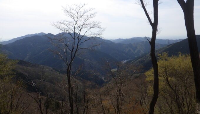 小津パノラマ公園