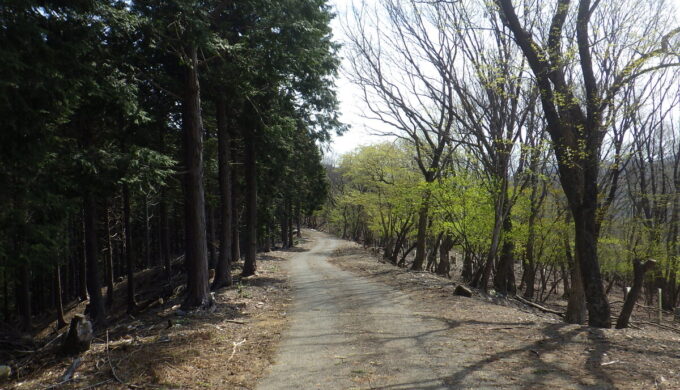 小津パノラマ公園