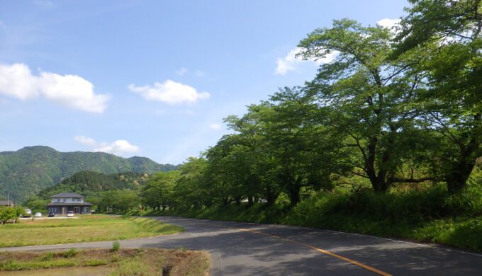 サラサドウダン街道