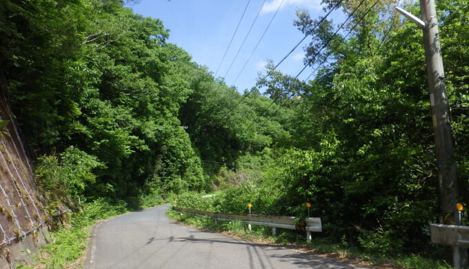 サラサドウダン街道