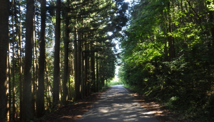 白山美濃線（県道324）