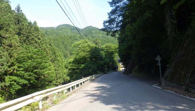 サラサドウダン街道
