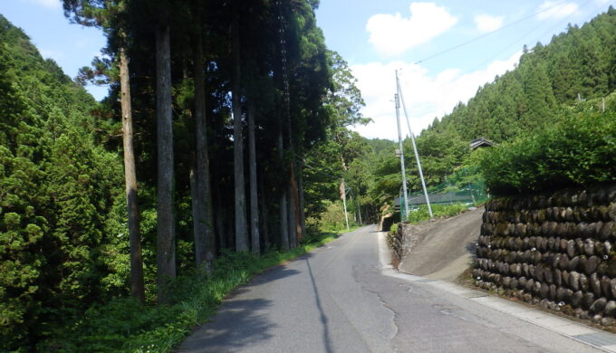 サラサドウダン街道