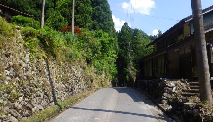 サラサドウダン街道