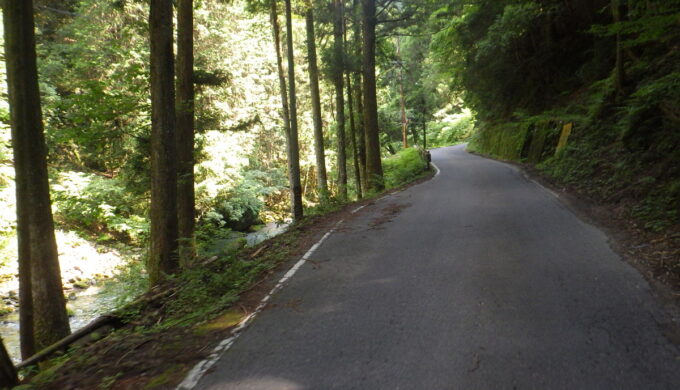 サラサドウダン街道