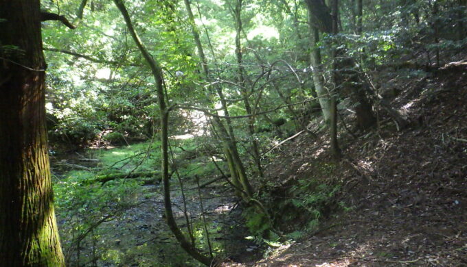 モリアオガエルの里