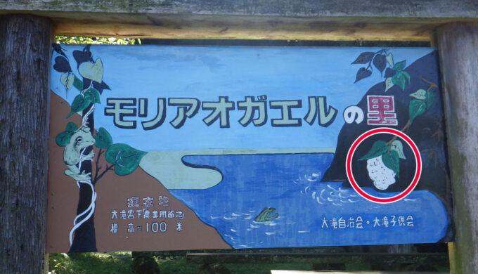 モリアオガエルの里