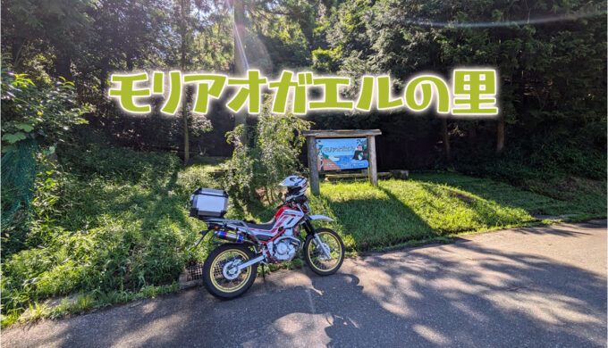 伊吹ばら街道で行く『モリアオガエルの里』