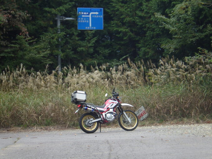 名もなき田舎道