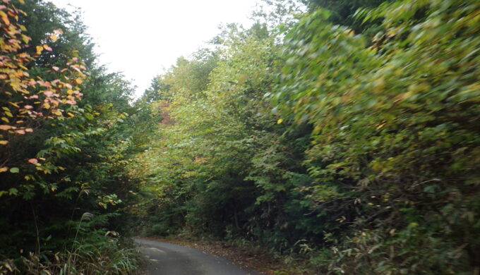 名もなき田舎道