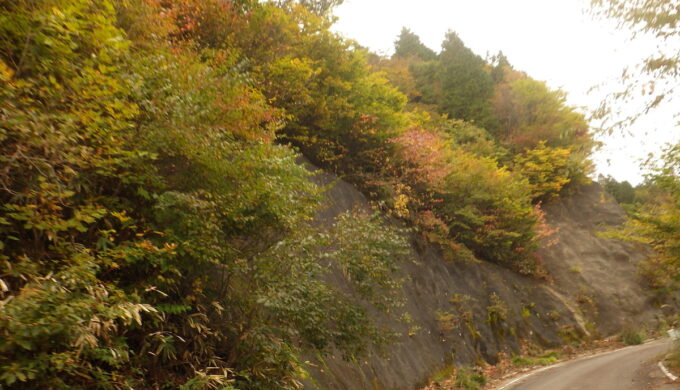 名もなき田舎道