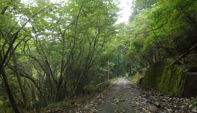 名もなき田舎道