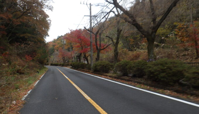 各務原パークウェイ