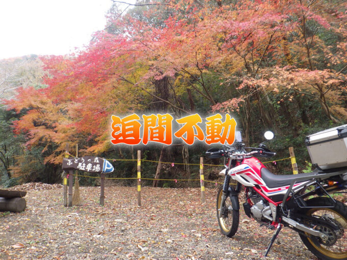 迫間不動周辺のお散歩（岐阜県関市）