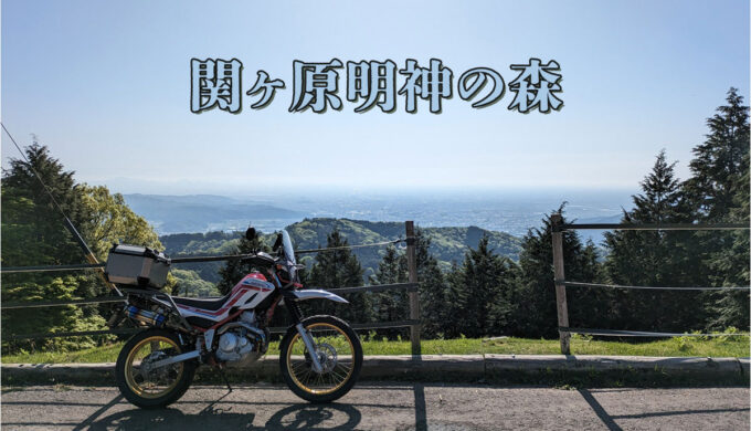 関ヶ原明神の森