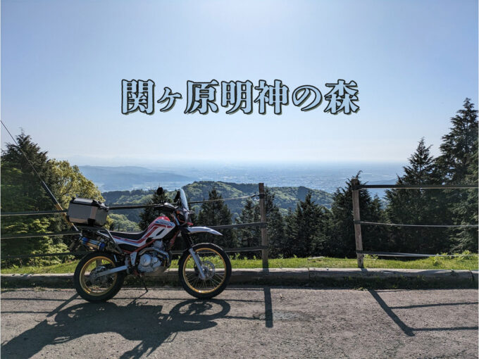 関ヶ原明神の森
