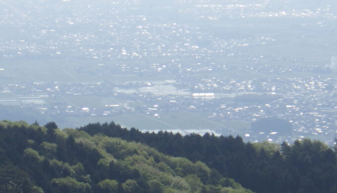 関ヶ原明神の森