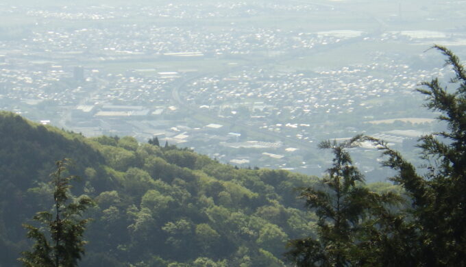 関ヶ原明神の森