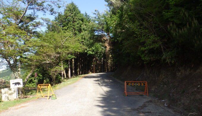 関ヶ原明神の森