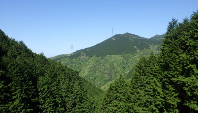 関ヶ原明神の森