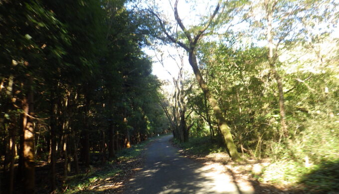 大谷スカイライン