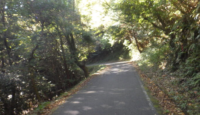 大谷スカイライン