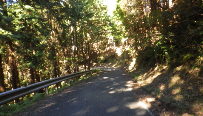 大谷スカイライン