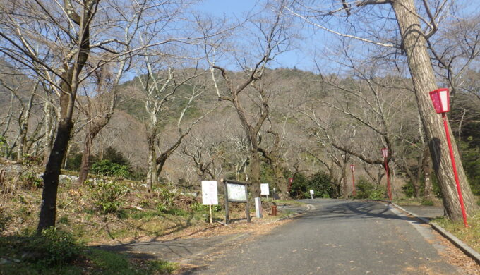 吉田出来山公園