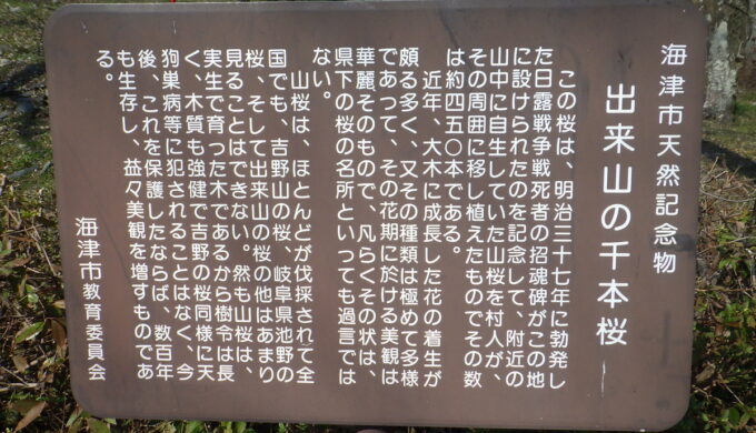 出来山の千本桜