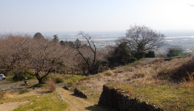 出来山の千本桜