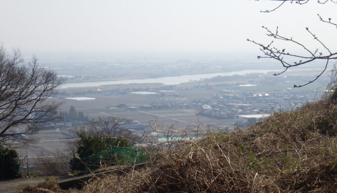 出来山の千本桜