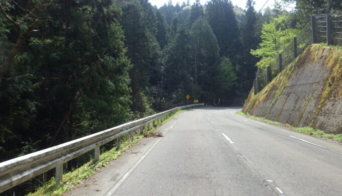 サラサドウダン街道