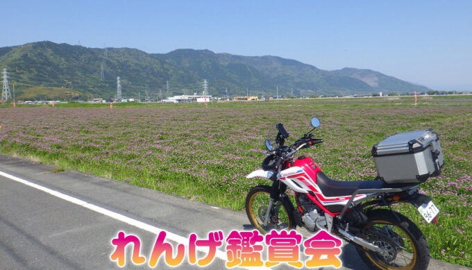 れんげ鑑賞会(三重県桑名市)自然の美しさと地域の温かさが融合