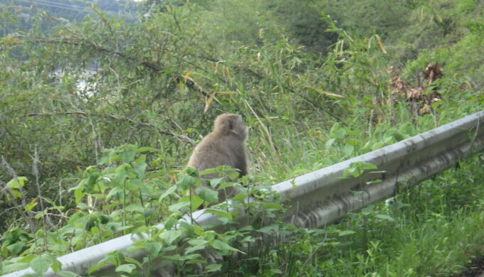 滋賀県道25号線(南濃北勢線)