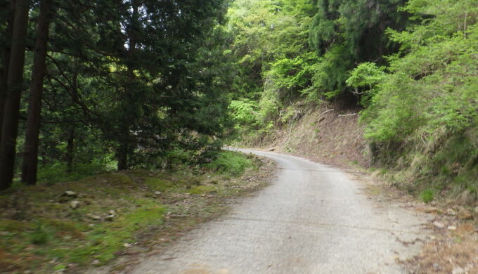 林道時山多賀線