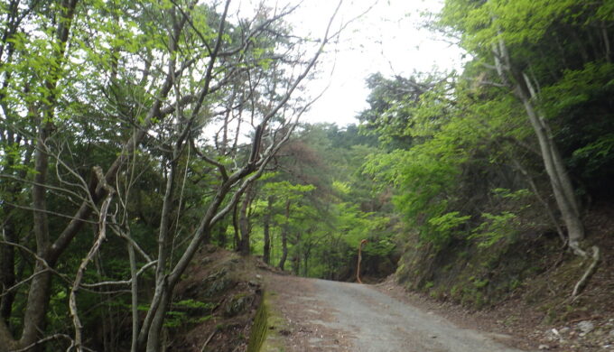 林道時山多賀線