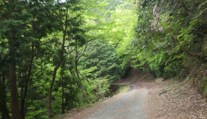 林道時山多賀線