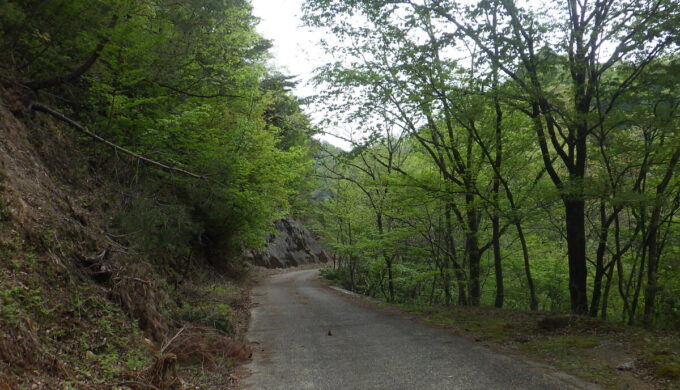 林道時山多賀線