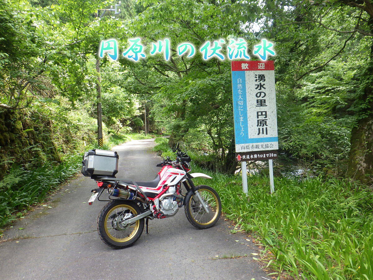 円原川の伏流水（岐阜県山県市）自然の浄水作用がもたらす清流