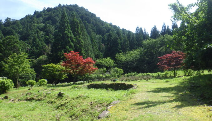 白谷のあじさい園