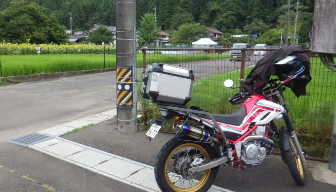 洲原ひまわりの里