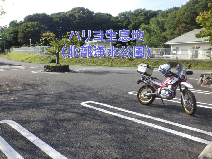 ハリヨ生息地(北部浄水公園)