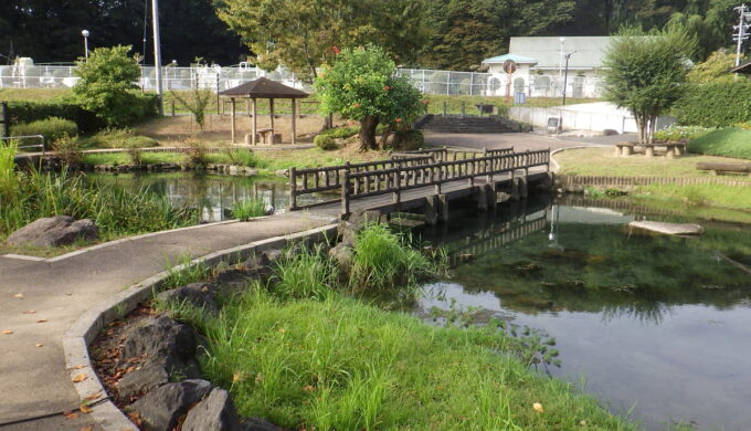ハリヨ生息地(北部浄水公園)