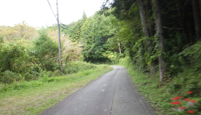 岐阜県道80号(美濃川辺どんぐり街道)