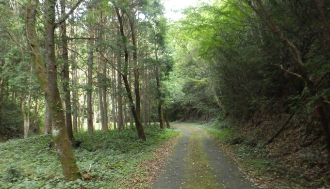 岐阜県道80号(美濃川辺どんぐり街道)