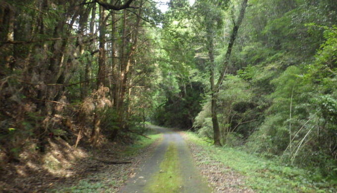 岐阜県道80号(美濃川辺どんぐり街道)
