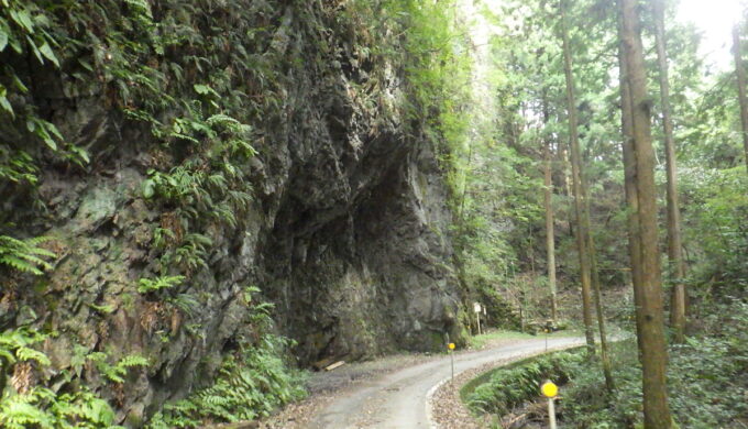 岐阜県道80号(美濃川辺どんぐり街道)