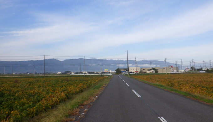 水郷ハナミズキ街道