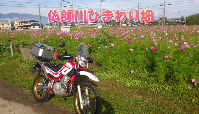 仏師川ひまわり畑（岐阜県海津市）